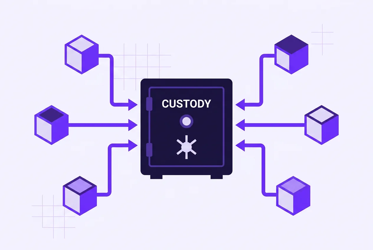 Infographic showing five regional custody hubs converging into a central institutional custody unit.